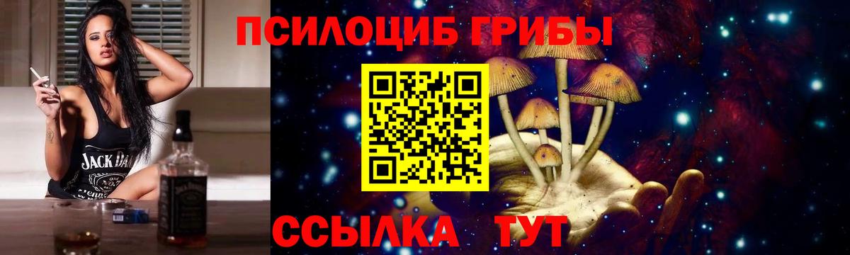 Галлюциногенные грибы Psilocybe  наркота  Михайловка  Вход с VPN  Галлюциногенные грибы Psilocybe 